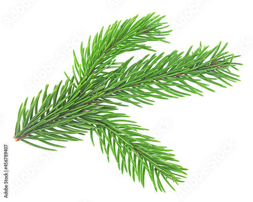 Young green fir branch for christmas isolated on a white background. Green fir tree spruce branch with needles.