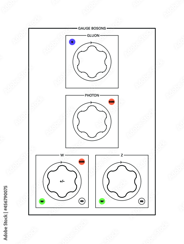 Conceptual vector illustration of the fundamental particles of standard