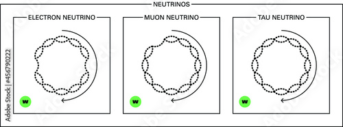 Conceptual vector illustration of the fundamental particles of standard model, the electron, tau and muon neutrinos, and their proprieties: mass, color, charge, flavour, spin and interaction forces.