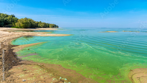 Photos Ecological crisis. Swampy polluted river water