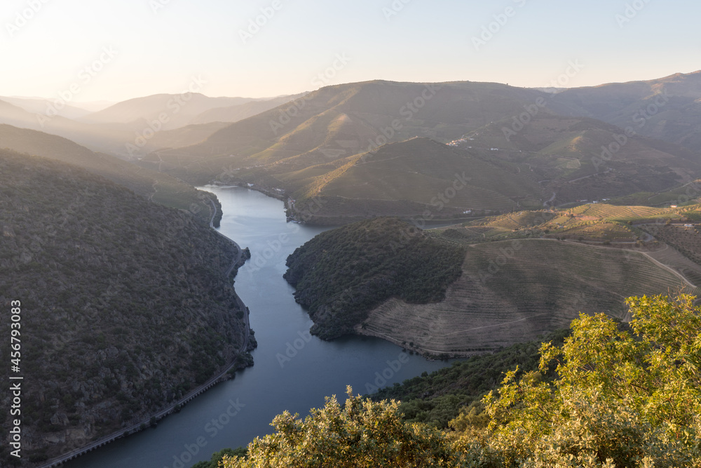 Aerial view of the terraced vineyards in romantic sunset in the Douro Valley near the village of Pinhao. Concept for travel in Portugal and most beautiful places in Portugal Port wine wine farm Unesco