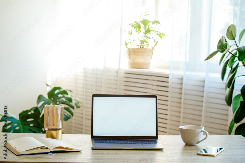 Blank screen laptop, cell phone and a cup on wooden table. Cozy lofty office with decorative palm plants full of natural sunlight. Close up, copy space, background. Blank screen laptop, cell phone and a cup on wooden table. Cozy lofty office with decorative palm plants full of natural sunlight. Close up, copy space, background.