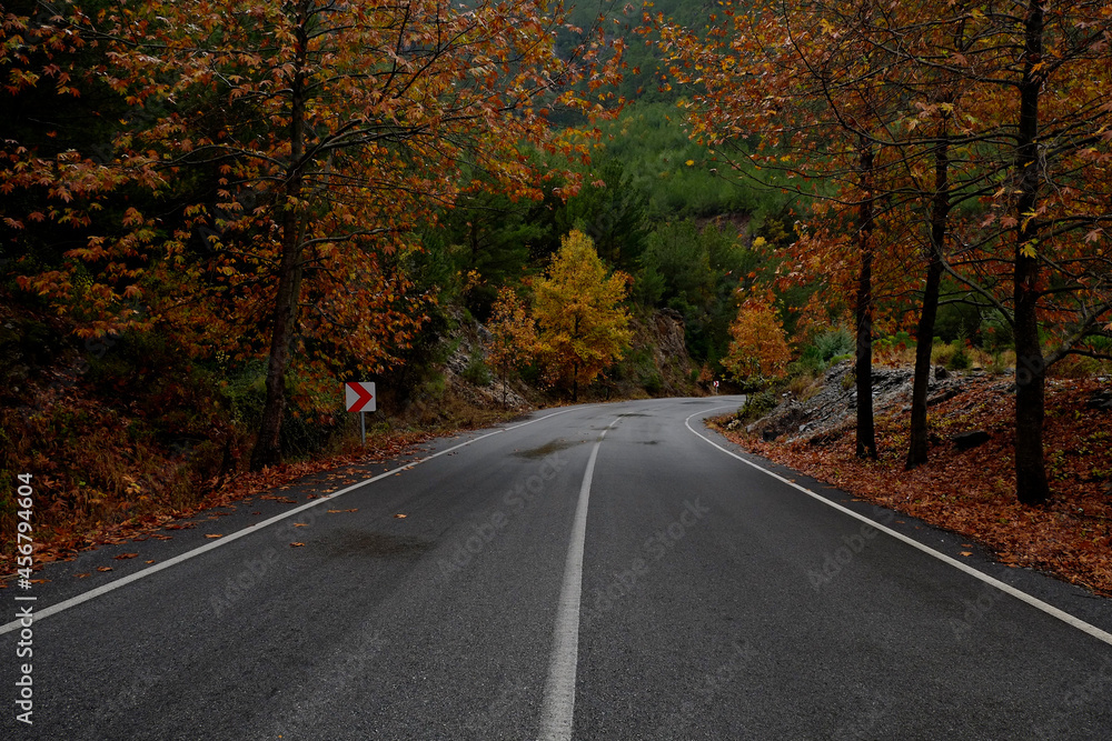Newly paved empty mountain switchback road. Autumnal background with yellow leaves on trees wet after the rain. Close up, copy space for text.