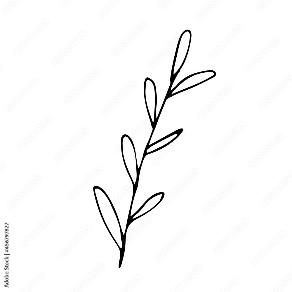 Botanical linear leaf set. Abstract minimalist leaves collection, creative herbal art. Hand drawn wedding herb, plant and monogram with elegant leaves for invitation save the date. Vector illustration