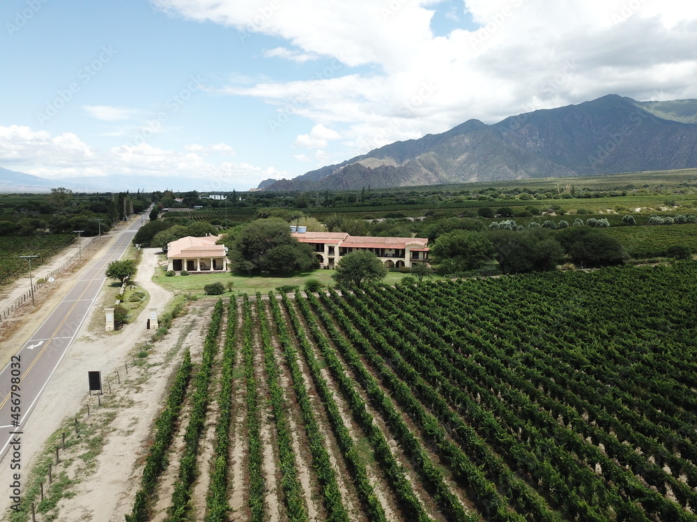 mountainous vineyards in northern Argentina shooted with drone