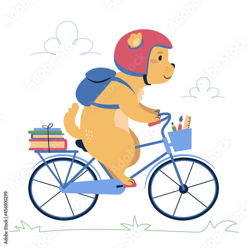 A brown dog on a bike. flat style, vector illustration.