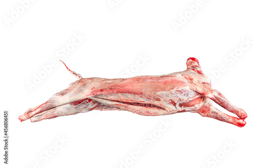 Lamb carcass on cutting table in butcher shop. Sheep carcass. Raw meat. Free space for text. Isolated on white background. photo
