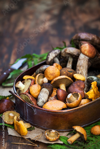 Fresh uncooked wild mushrooms on rustic wooden background, copy space