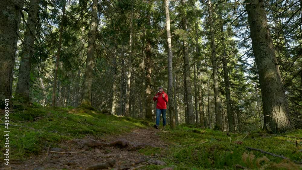 Tourist guy with a backpack walks along a trail in a beautiful forest Tourist guy with a backpack walks along a trail in a beautiful forest