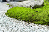 苔と自然石がある和風の庭