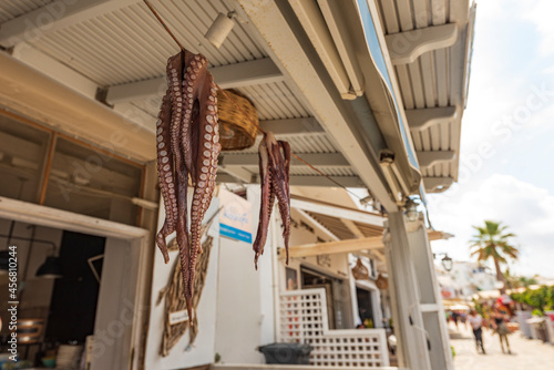 Polpi appesi in una caratteristica taverna Greca, isola di Naxos