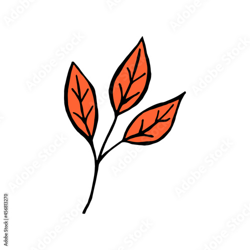 Vector illustration autumn leaf isolated on white background. Autumn leaf icon. Hand drawn. Flat design. Doodle style.