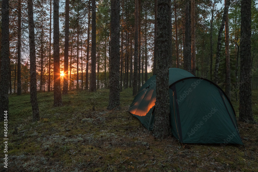 Tents in the forest. Hike in nature. Trekking in the forest. Leisure. Wildlife travel.
