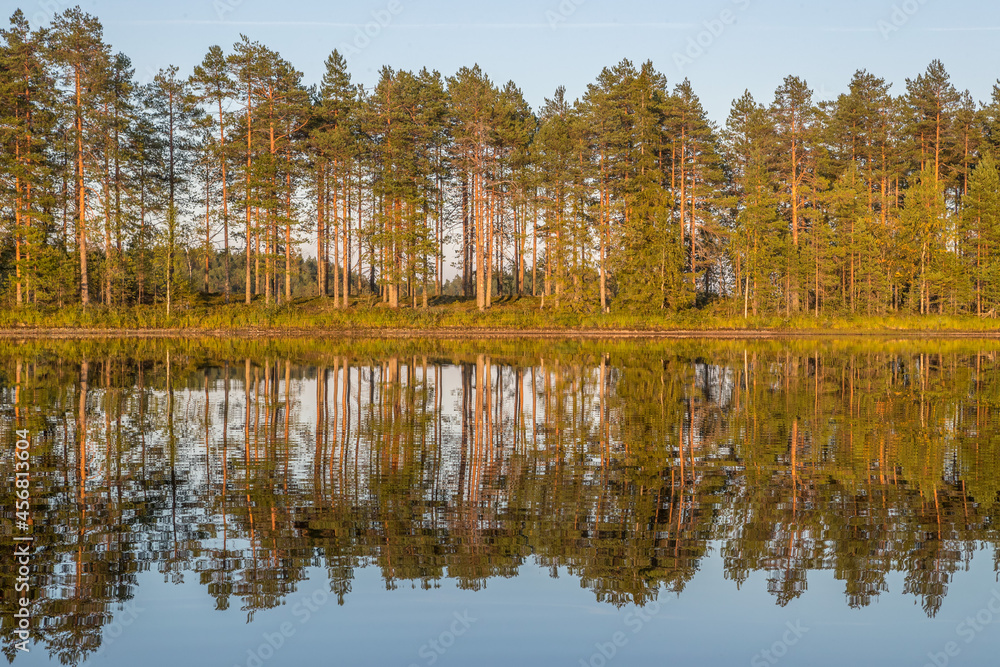 Northern nature. Panorama of the forest. Lake, forest, river. Beautiful landscape with lake and forest. Sunset and sunrise. Reflection of the forest in the water.