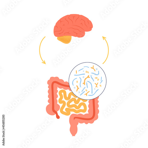 Gut brain connection