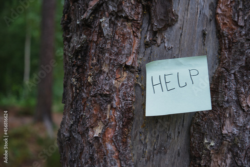 inscription HELP on a green sticker glued to an old tree in the forest. get lost in the woods, help those lost in woods