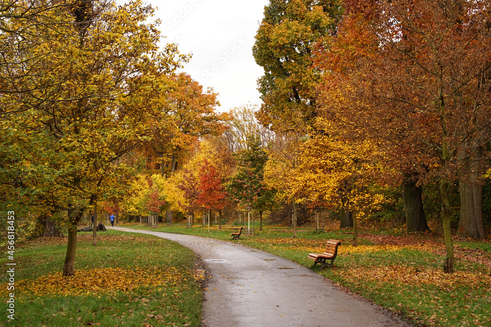 Autumn colours in park Stromovka, pathway with benches and colourful trees, Prague, Czech Republic