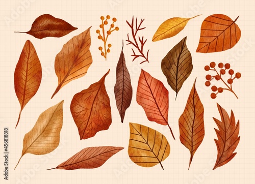 Hand painted autumn leaf in watercolor illustration set