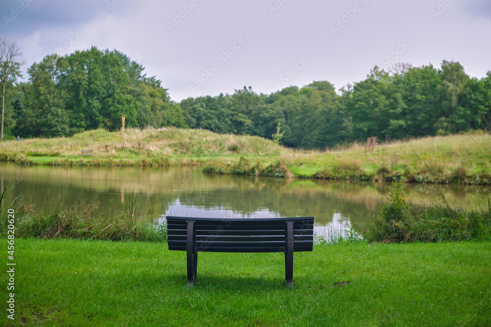 Bench in the park, beautiful nature view, background