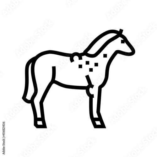 brucellosis horse line icon vector. brucellosis horse sign. isolated contour symbol black illustration photo