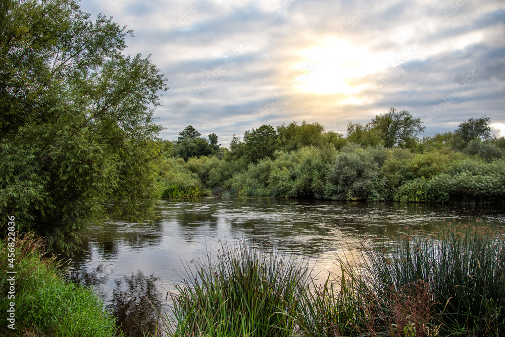 Quite river in sunlight covered in vegetation. Quite river in sunlight covered in vegetation.