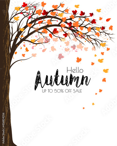 Enjoy Autumn Sale background with trees and colorful leaves. Vector