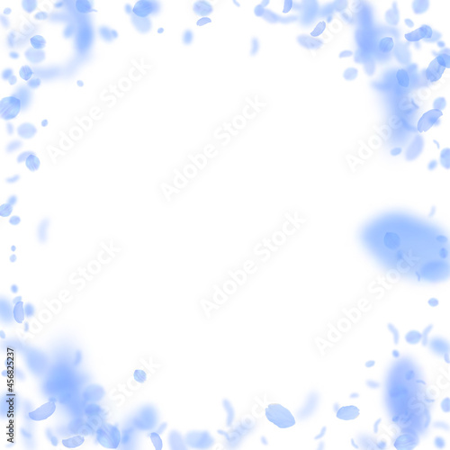 Dark blue flower petals falling down. Fetching rom