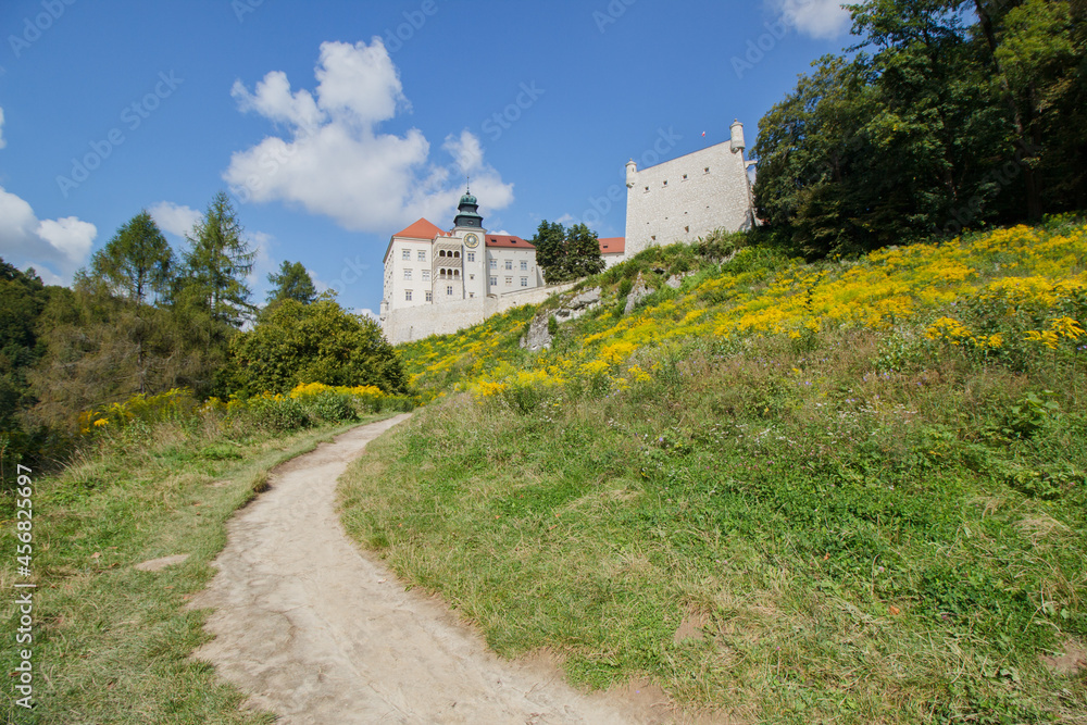 Castle on Pieskowa Rock in Ojcow city - National Park	
