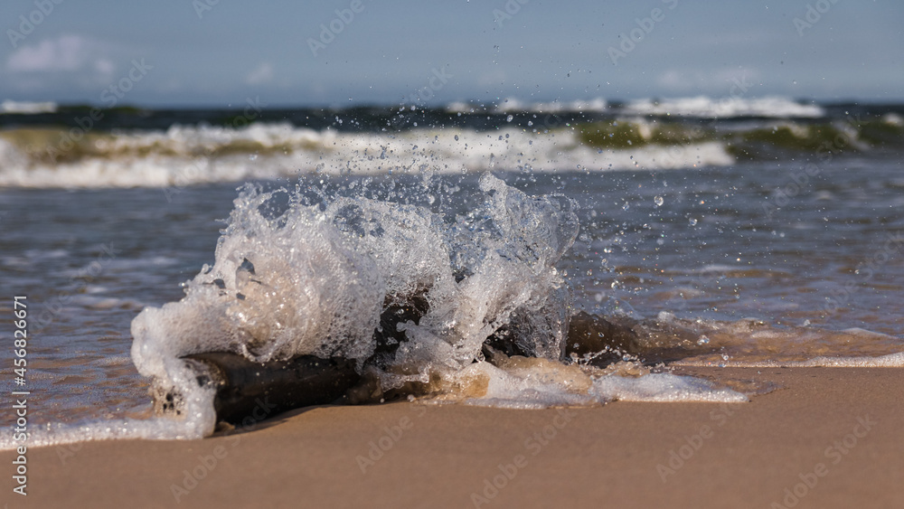 Rozbijająca się fala morska o konar leżący na plaży - obrazy, fototapety, plakaty 