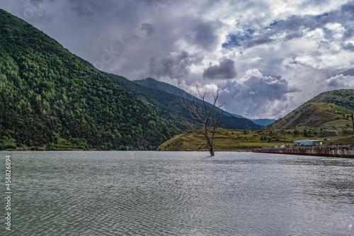 Dried lonely tree on the shore of the reservoir of the Zaramagskaya hydroelectric power station (North Ossetia)