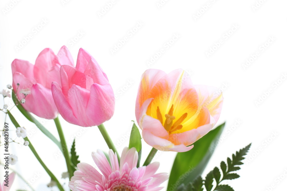 Fototapeta premium Blossom turnip on white background with copy space