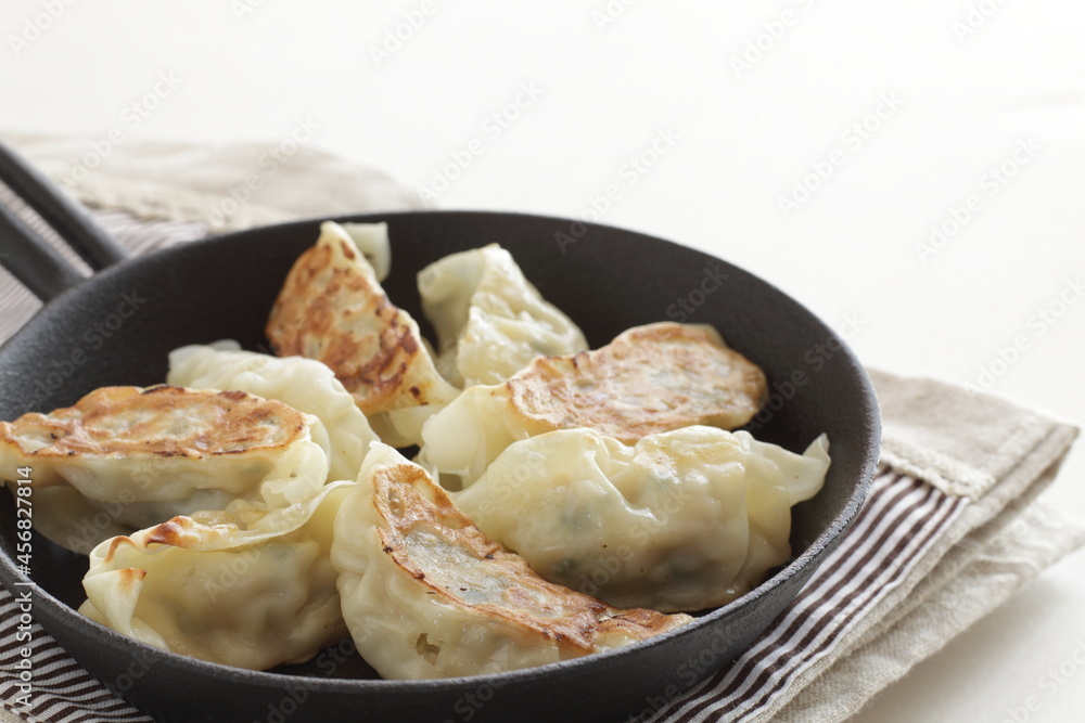 Homemade Japanese style Jaozi in pan for lunch Homemade Japanese style Jaozi in pan for lunch