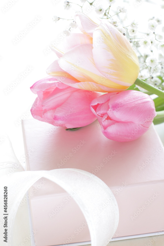 pink gift box and ribbon with turnip flower pink gift box and ribbon with turnip flower