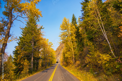 Fall foliage on the Going-to-the-Sun road  Glacier National Park  Montana 