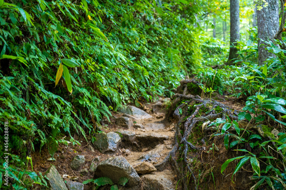 長野県安曇野市にある燕岳を登山する風景 A view of climbing Mt. Tsubame in Azumino City, Nagano Prefecture. 長野県安曇野市にある燕岳を登山する風景 A view of climbing Mt. Tsubame in Azumino City, Nagano Prefecture.
