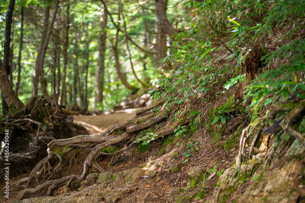 長野県安曇野市にある燕岳を登山する風景 A view of climbing Mt. Tsubame in Azumino City, Nagano Prefecture. 長野県安曇野市にある燕岳を登山する風景 A view of climbing Mt. Tsubame in Azumino City, Nagano Prefecture.