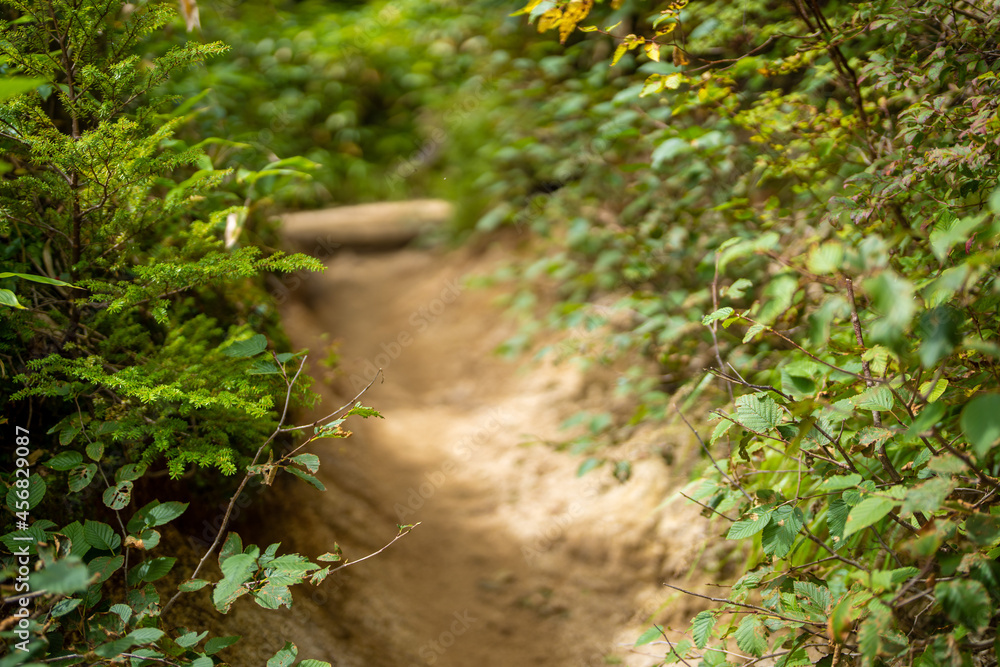 長野県安曇野市にある燕岳を登山する風景 A view of climbing Mt. Tsubame in Azumino City, Nagano Prefecture. 長野県安曇野市にある燕岳を登山する風景 A view of climbing Mt. Tsubame in Azumino City, Nagano Prefecture.