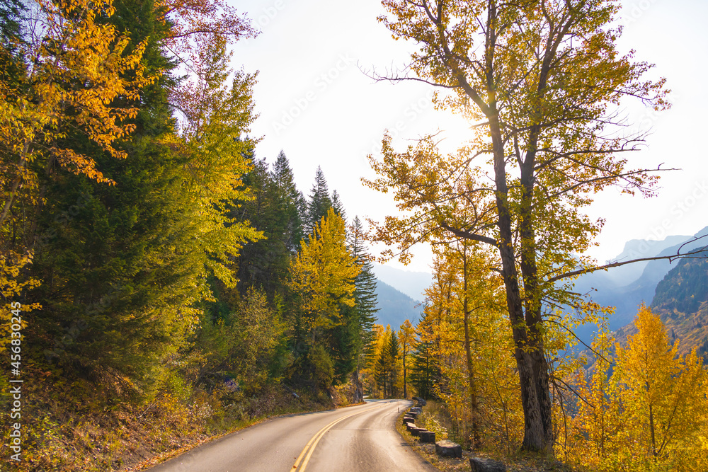 Obraz premium Fall foliage at Glacier National Park, Montana, USA