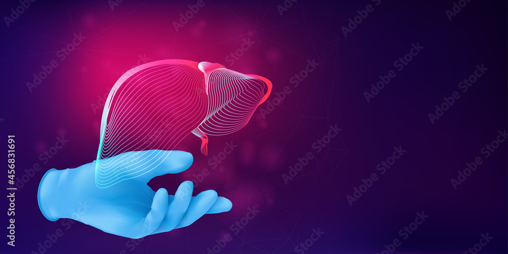 Human liver 3D silhouette on a doctor's hand in realistic rubber glove. Anatomical medical concept with the wireframe of a human organ on abstract background. Vector illustration in neon lineart style - obrazy, fototapety, plakaty 