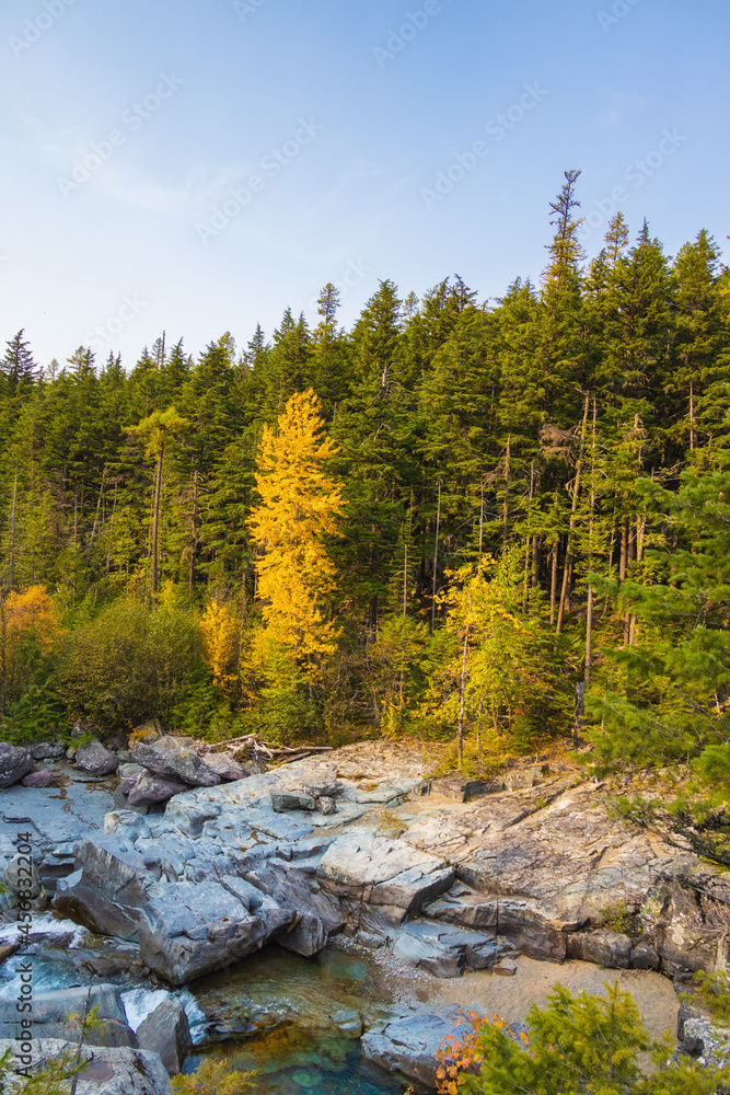 River and fall foliage at Glacier National Park, Montana, USA River and fall foliage at Glacier National Park, Montana, USA