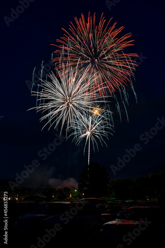 Fireworks Display Against Dark Sky