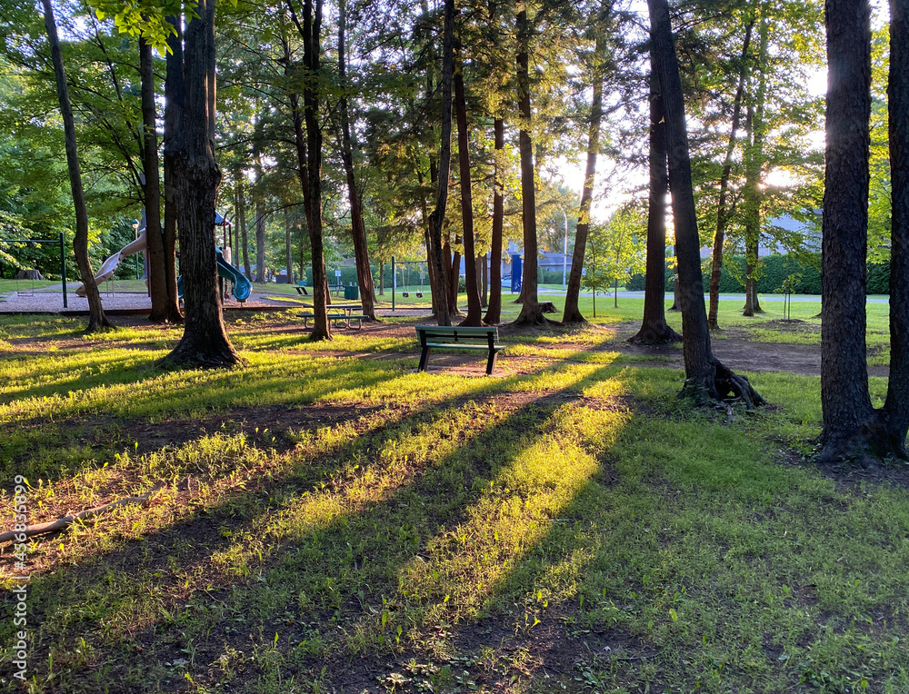 Obraz premium autumn in the park, path in a family park at sunset, soft sunlight among the trees, bench and children's playground modules in the background, golden hour