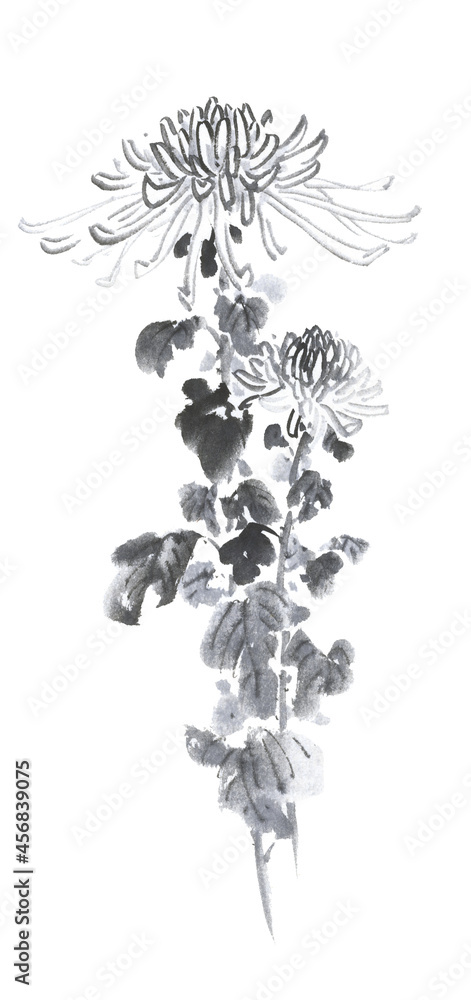 秋の花 菊 墨絵イラスト Stock Illustration Adobe Stock