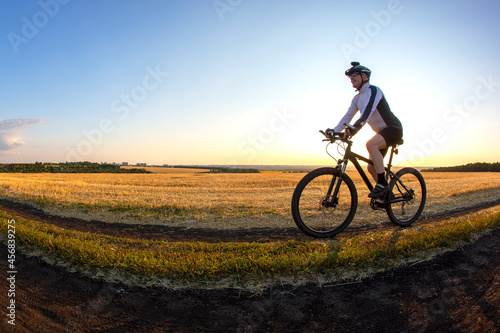 cyclist on bike rides along the fields of wheat in the sunlight