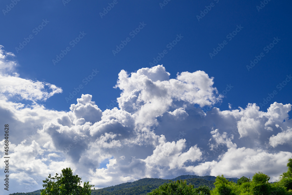 Blue sky with white cloud above the trees, Nature background Blue sky with white cloud above the trees, Nature background