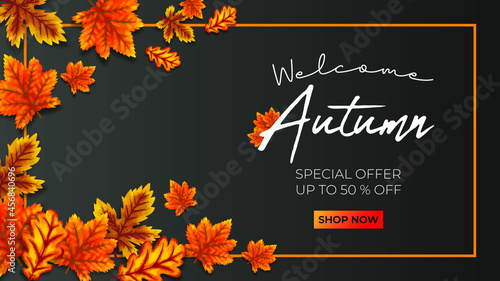 autumn promo sale vector illustration black background