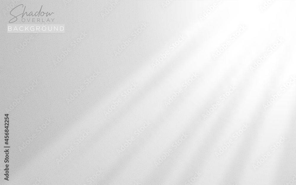 Realistic Shadow Overlay Background Design for Presentation with Soft Natural Lightning Effect. Vector Background Illustration. Realistic Shadow Overlay Background Design for Presentation with Soft Natural Lightning Effect. Vector Background Illustration.