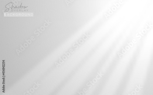 Realistic Shadow Overlay Background Design for Presentation with Soft Natural Lightning Effect. Vector Background Illustration.