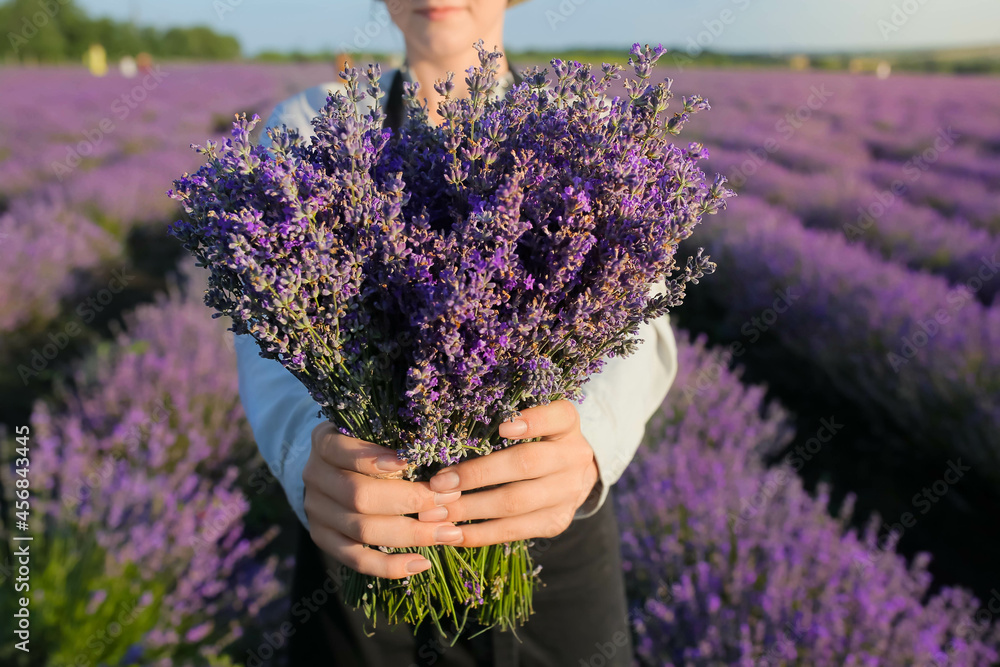 Female farmer with lavender flowers in field, closeup Female farmer with lavender flowers in field, closeup
