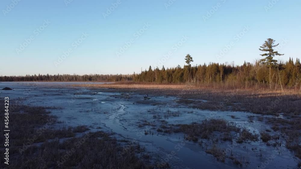 custom made wallpaper toronto digitalSlow drone shot of a frozen swamp with sun reflecting off trees